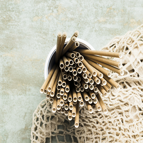 Popotes Compostables